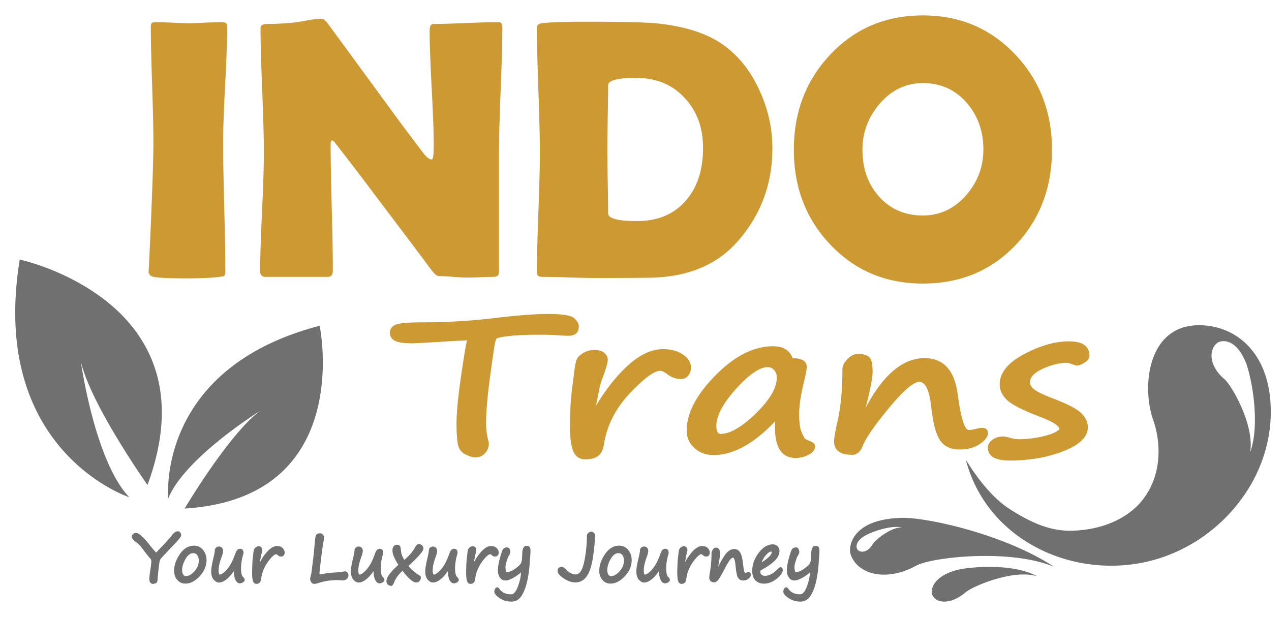 Indo Trans Cianjur Logo